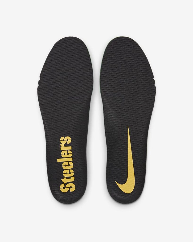 steelers pegasus 37
